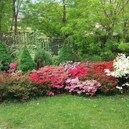 Il Giardino