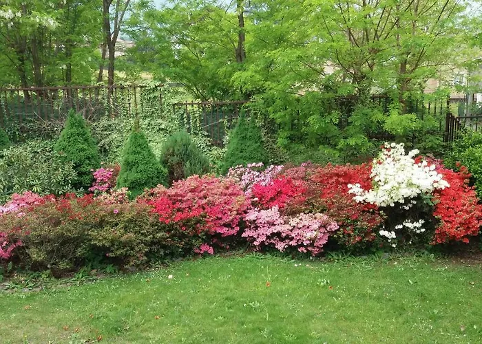 Il Giardino